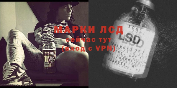 a pvp Алзамай
