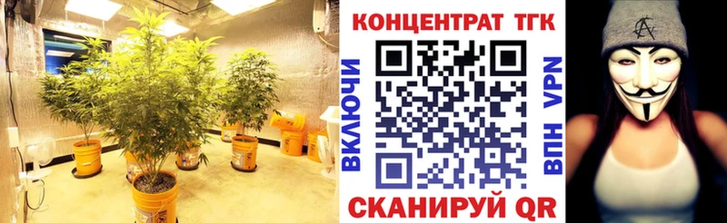 закладки Беломорск Дистиллят ТГК вейп с тгк