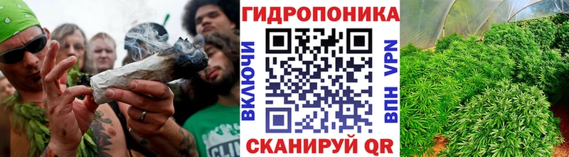 Канабис конопля blacksprut Беломорск закладка